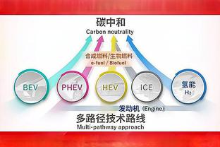 米卡尔-布里奇斯：能拥有施罗德很棒 他很适合我们